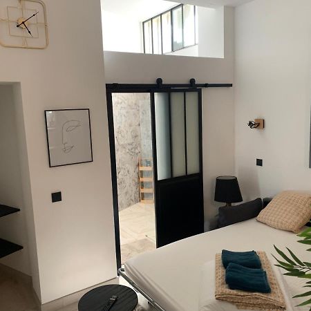 Studio Loft 40M2 De Charme ペルピニャン エクステリア 写真