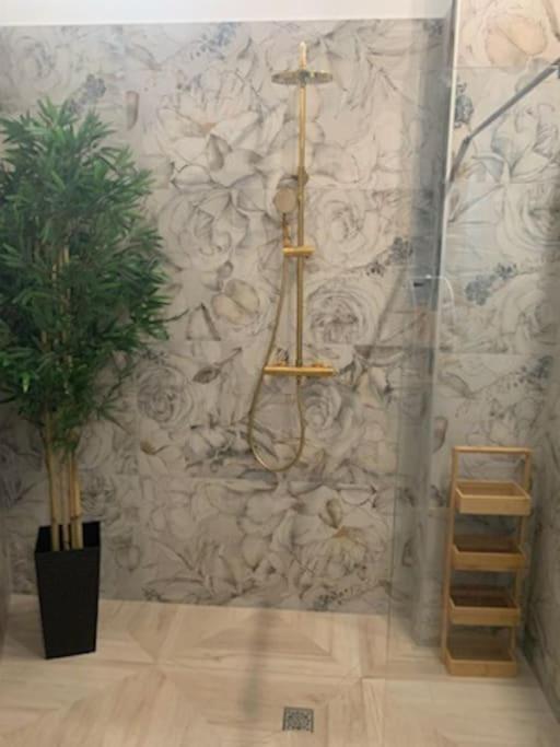 Studio Loft 40M2 De Charme ペルピニャン エクステリア 写真