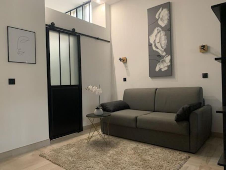 Studio Loft 40M2 De Charme ペルピニャン エクステリア 写真
