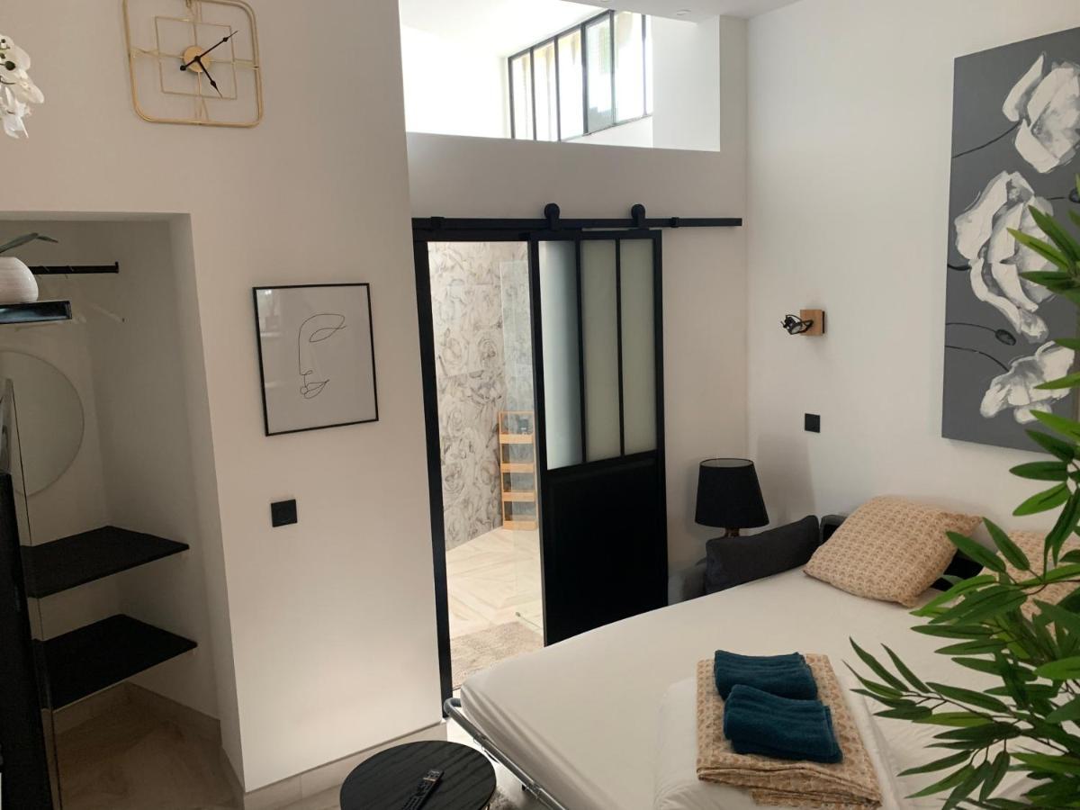 Studio Loft 40M2 De Charme ペルピニャン エクステリア 写真